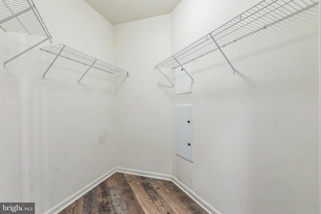 walk in closet featuring electric panel and dark wood-type flooring