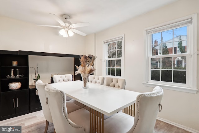 dining area with ceiling fan and light wood-type flooring