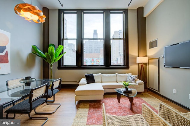 living room featuring hardwood / wood-style floors