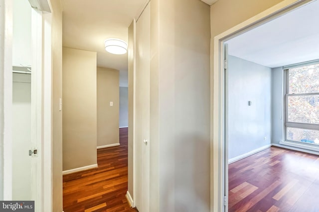 hall with dark hardwood / wood-style flooring