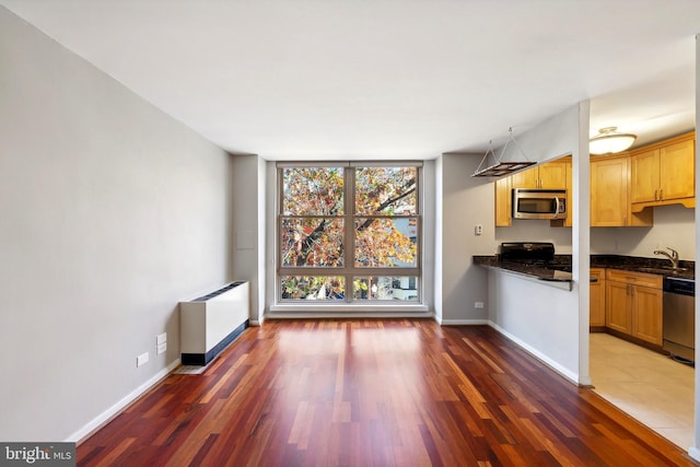 kitchen featuring sink, stainless steel appliances, radiator, and dark wood-type flooring