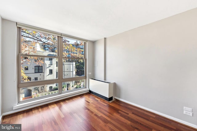 spare room with radiator, dark hardwood / wood-style floors, and a wealth of natural light