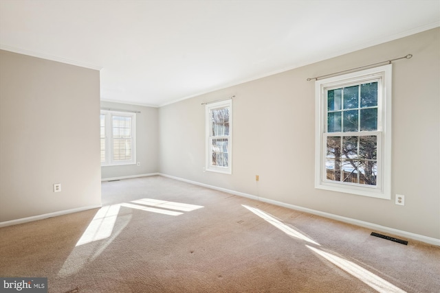 carpeted empty room featuring crown molding