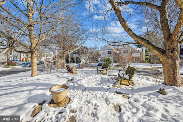 view of snowy yard