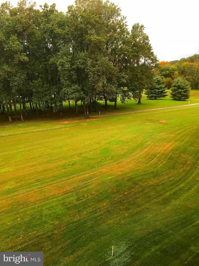 surrounding community featuring a lawn