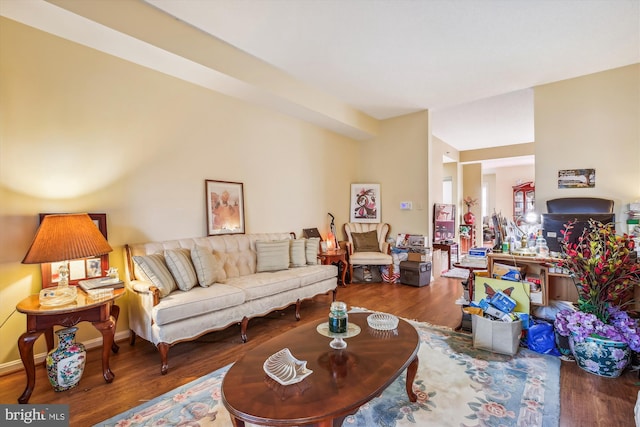 living room featuring wood-type flooring