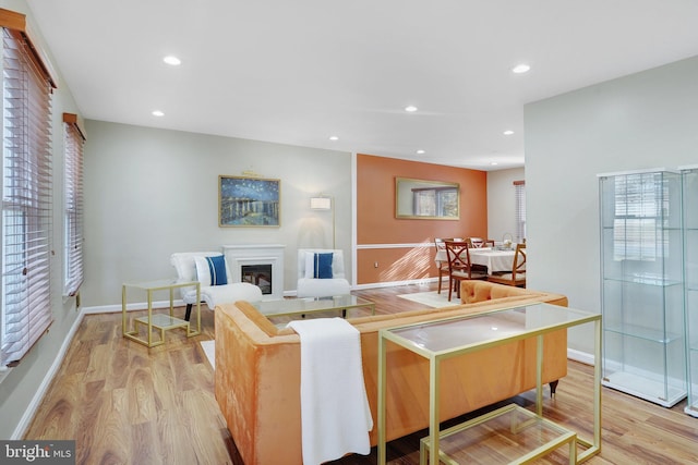 living room featuring light hardwood / wood-style flooring