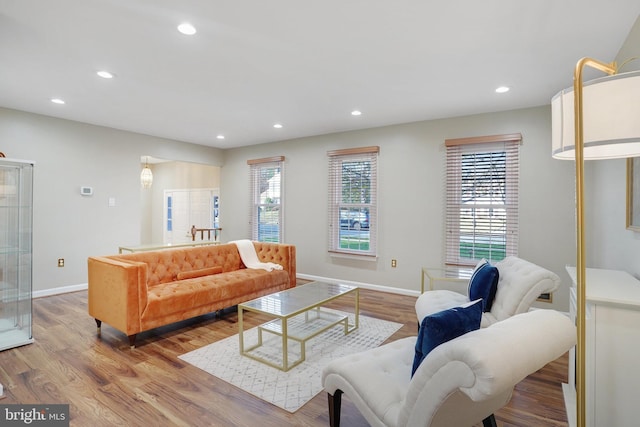 living room featuring light hardwood / wood-style flooring and plenty of natural light