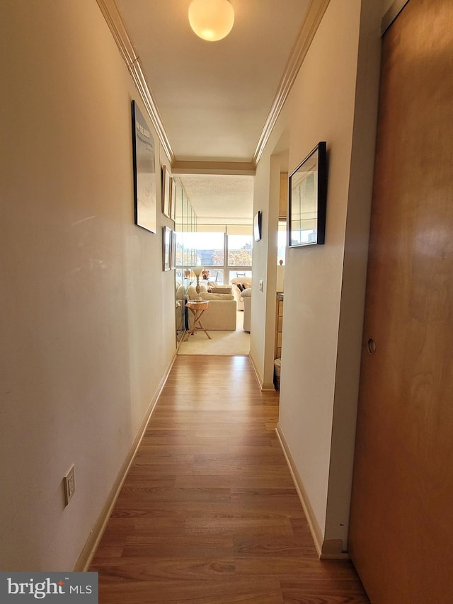 hallway with hardwood / wood-style flooring and crown molding