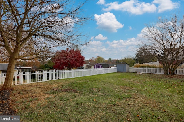 view of yard with a shed