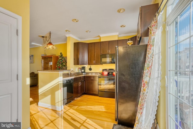 kitchen featuring sink, pendant lighting, light wood-type flooring, black appliances, and ornamental molding