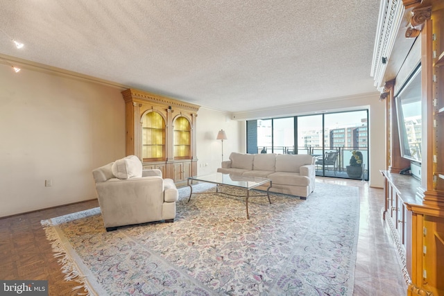 living room featuring a textured ceiling and ornamental molding