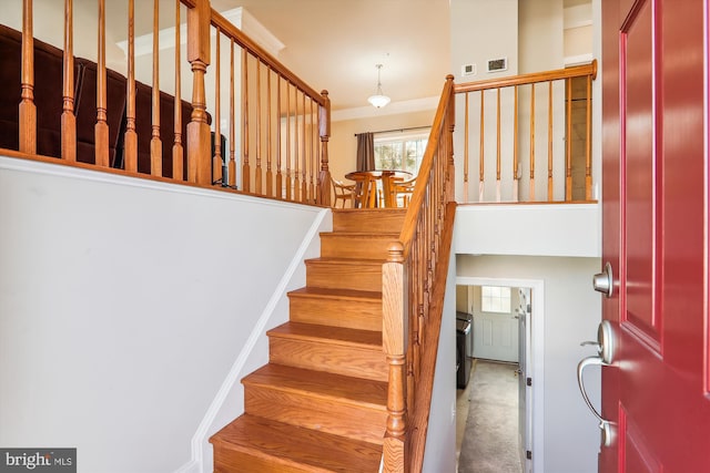 staircase with carpet flooring