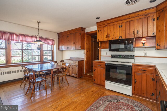 2209 Swamp Rd, Furlong, PA 18925 - living room with radiator, built in features, wood finished floors, and a stone fireplace