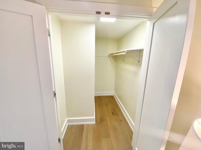 walk in closet with light wood-type flooring