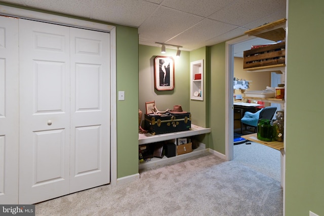 hall with rail lighting and light colored carpet