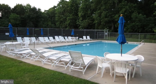 view of swimming pool with a patio area