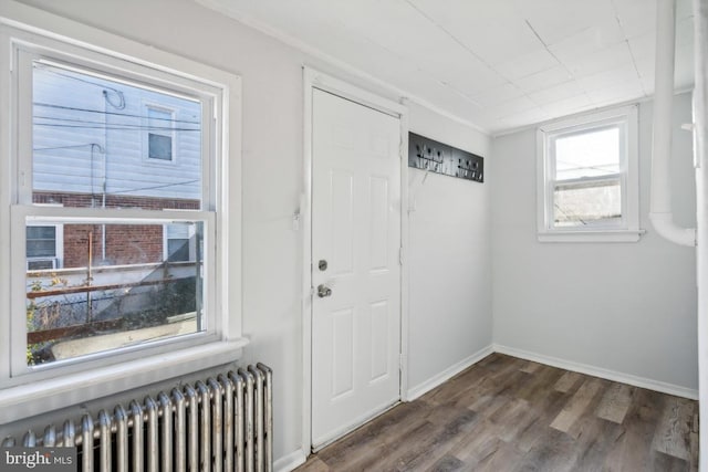 interior space with dark wood-type flooring, crown molding, and radiator