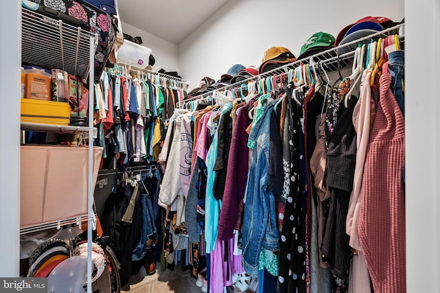 walk in closet featuring carpet floors