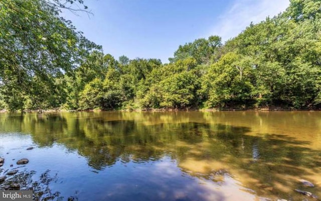 8510 Randell Ridge Rd, Frederick, MD 21704 - water view with a forest