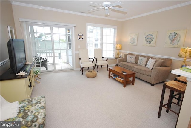 carpeted living room with ceiling fan and crown molding