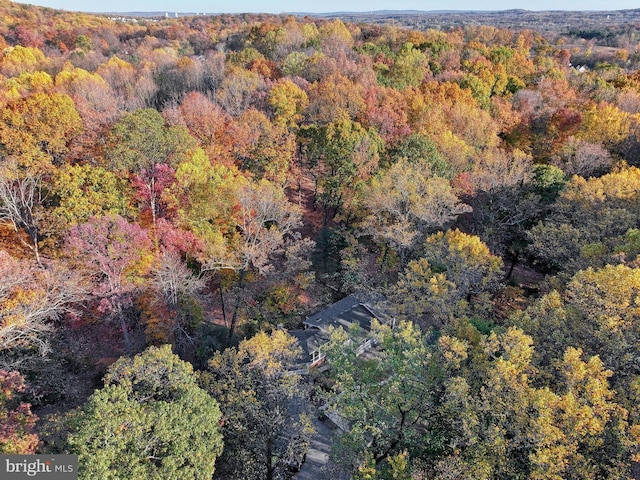 drone / aerial view