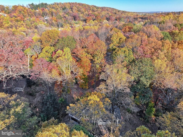 aerial view