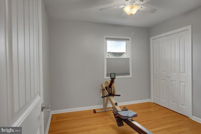 workout room featuring wood-type flooring and ceiling fan