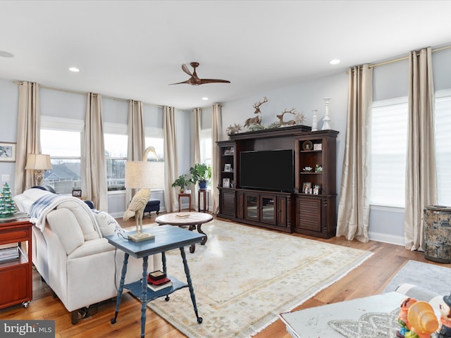 living room featuring ceiling fan and light hardwood / wood-style flooring