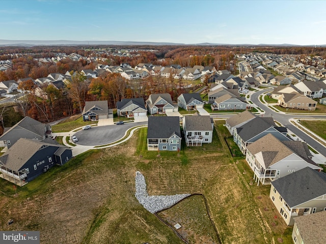 drone / aerial view