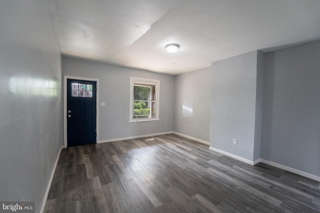 foyer featuring dark wood-type flooring