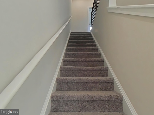 stairs with carpet floors