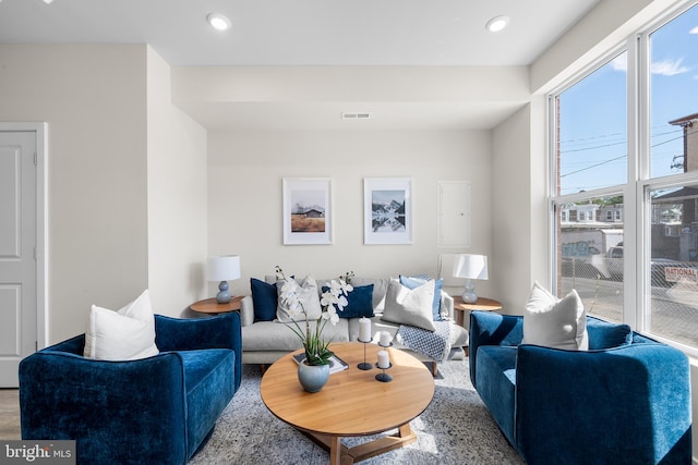 living room with plenty of natural light