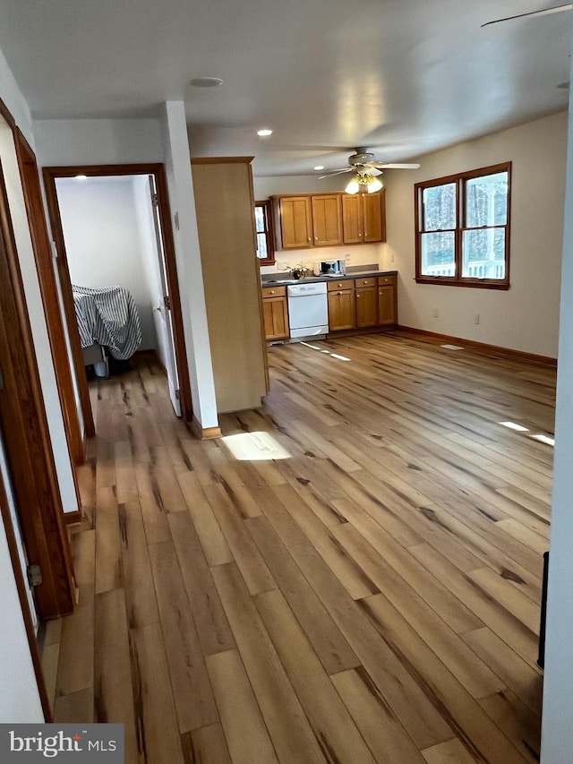 kitchen featuring white dishwasher, ceiling fan, and light wood-type flooring