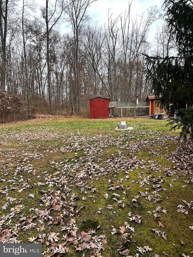 view of yard featuring a storage shed