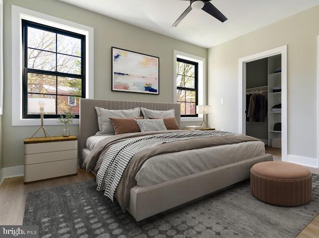 bedroom with wood finished floors, a walk in closet, baseboards, a ceiling fan, and a closet