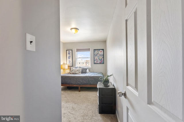 bedroom featuring carpet flooring