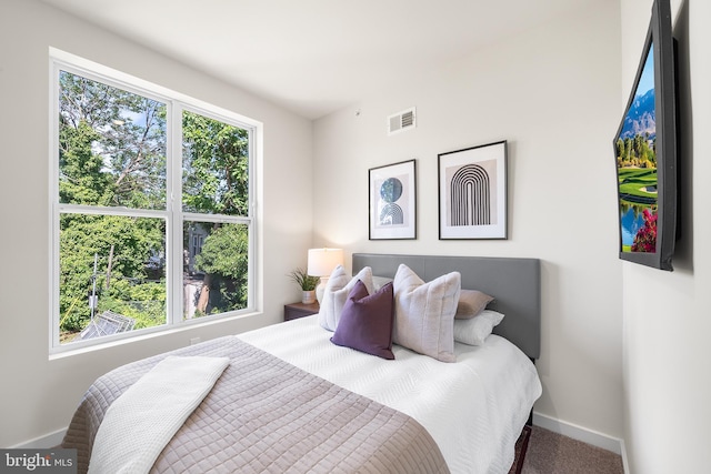 bedroom with multiple windows