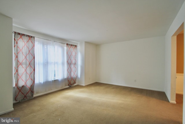 empty room featuring carpet floors