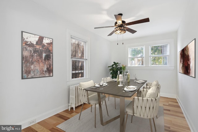 dining space with ceiling fan and light wood-type flooring