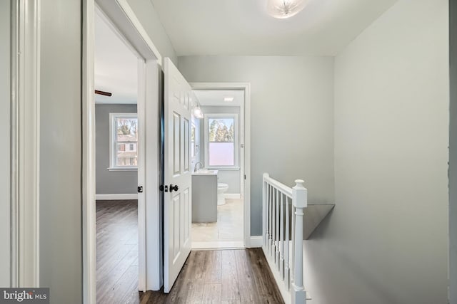 hall featuring dark hardwood / wood-style floors