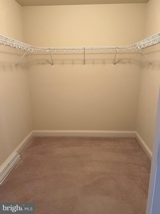 spacious closet with carpet flooring