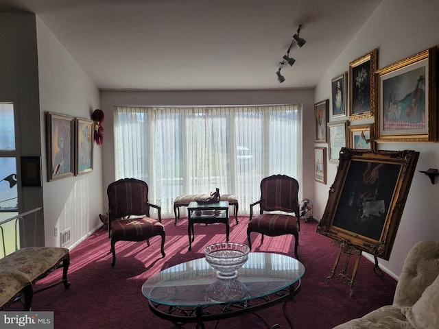 living room with carpet flooring, vaulted ceiling, and track lighting