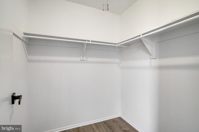 walk in closet with dark wood-type flooring