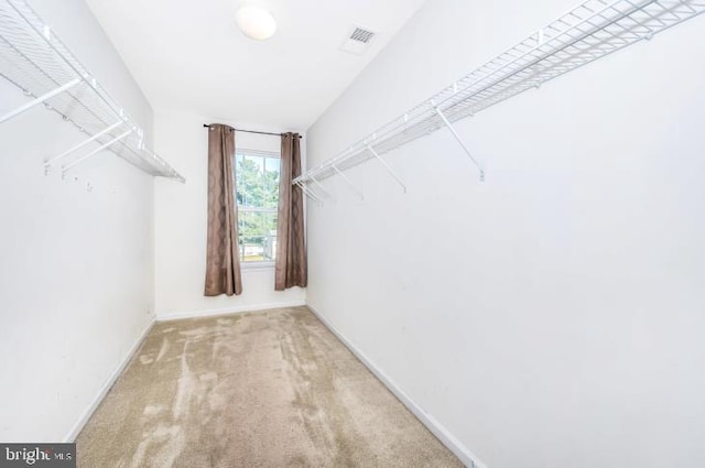 spacious closet with carpet floors