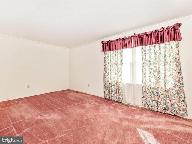 spare room featuring ornamental molding and carpet flooring