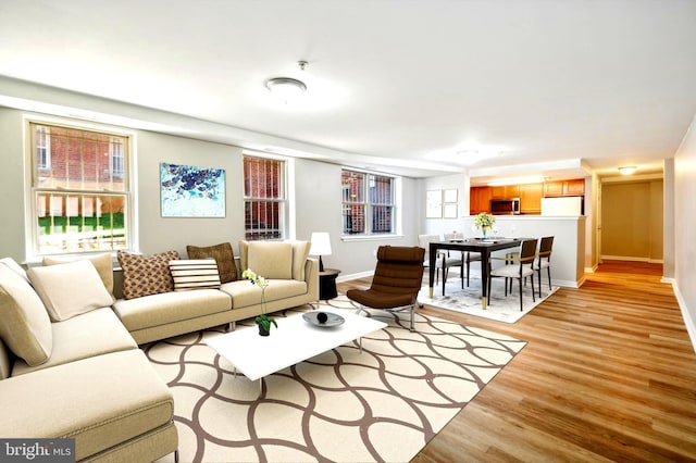 living room with light wood-type flooring