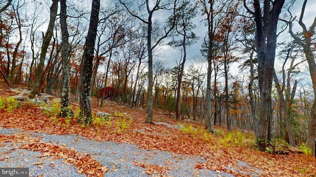 view of road