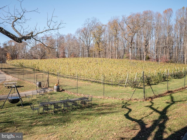 view of yard featuring a rural view