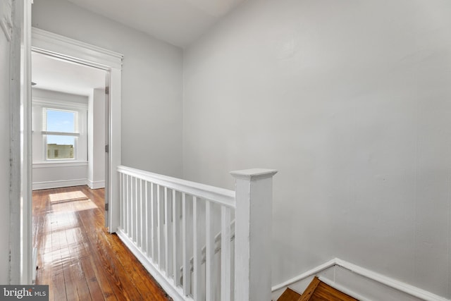 hall featuring dark hardwood / wood-style floors